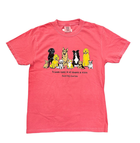 Friends Come In All Shapes & Sizes Tee