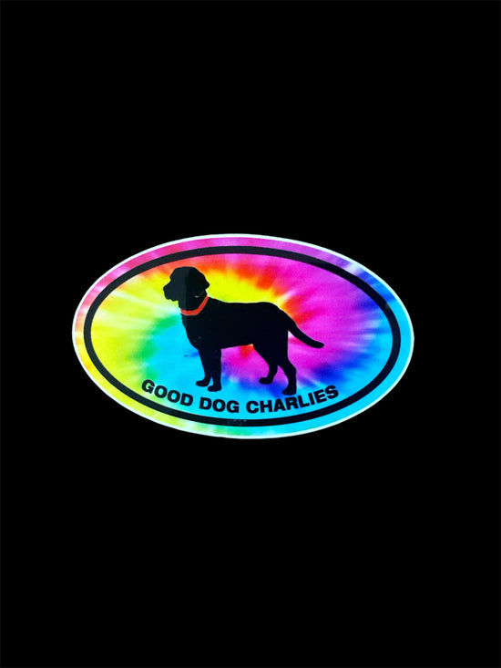 Small 2” x 1 1/4” Mini stickers